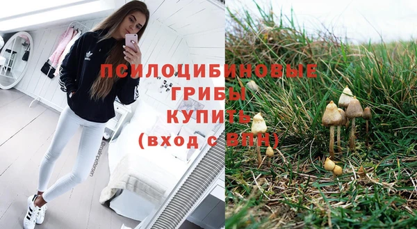 кристаллы Козловка