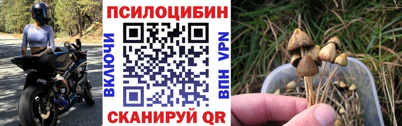 Галлюциногенные грибы мицелий  Купить  Иваново 